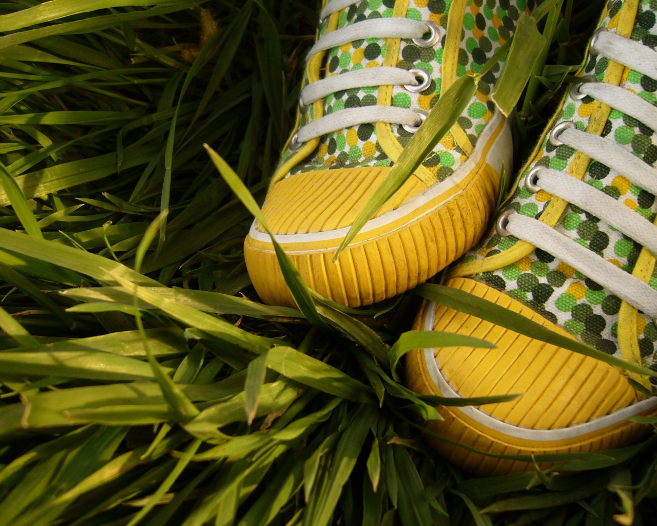 Желтые кеды в горошек обои