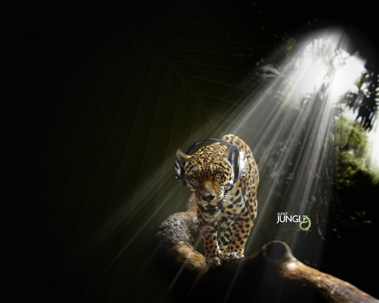 Ягуар в наушниках обои