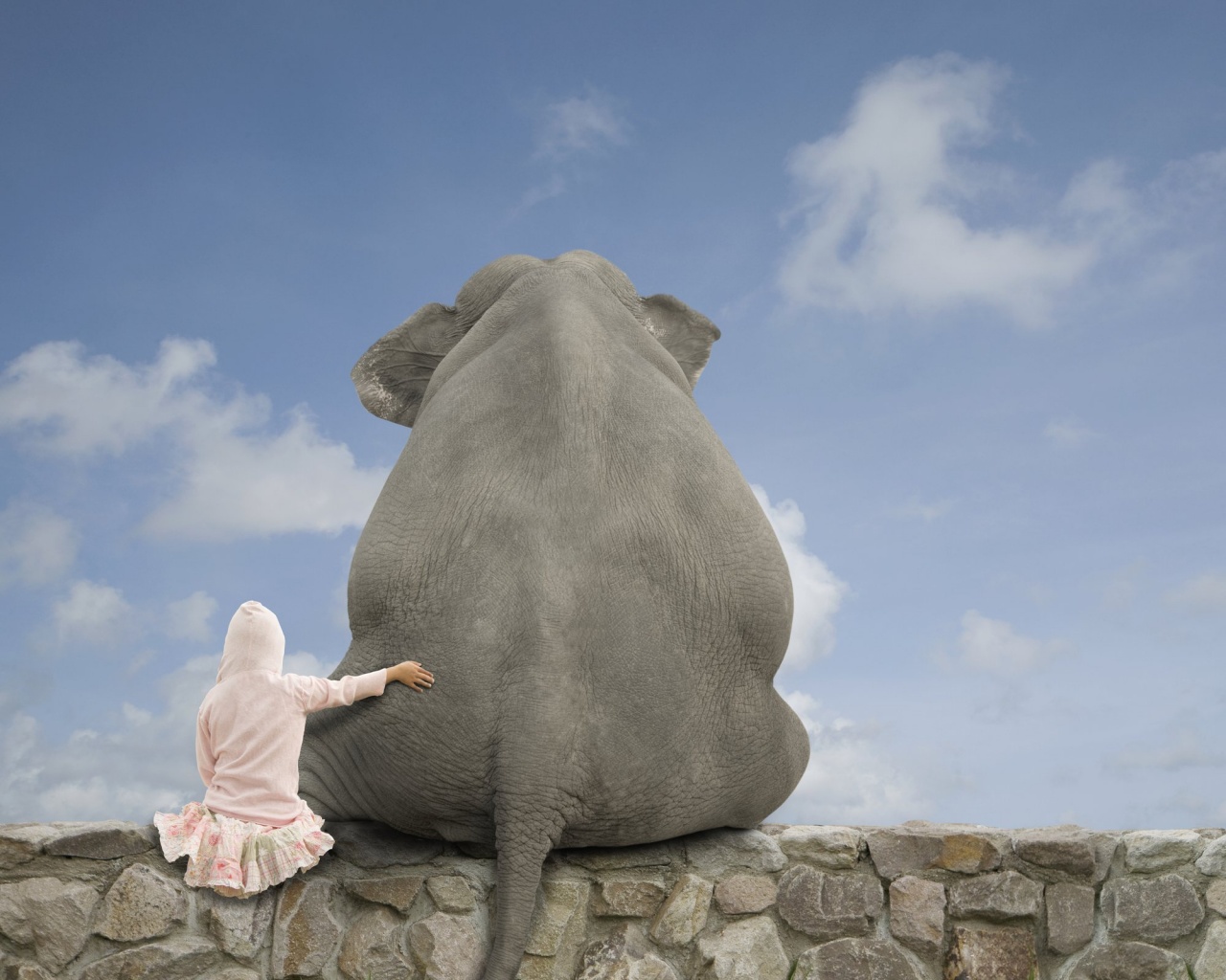 Девочка и слон обои