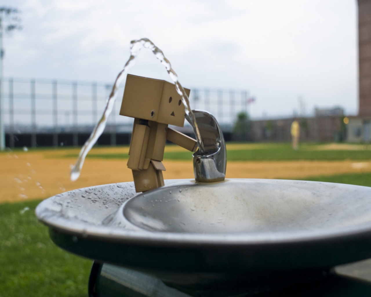 Дандо пьет в воду из фонтанчика обои