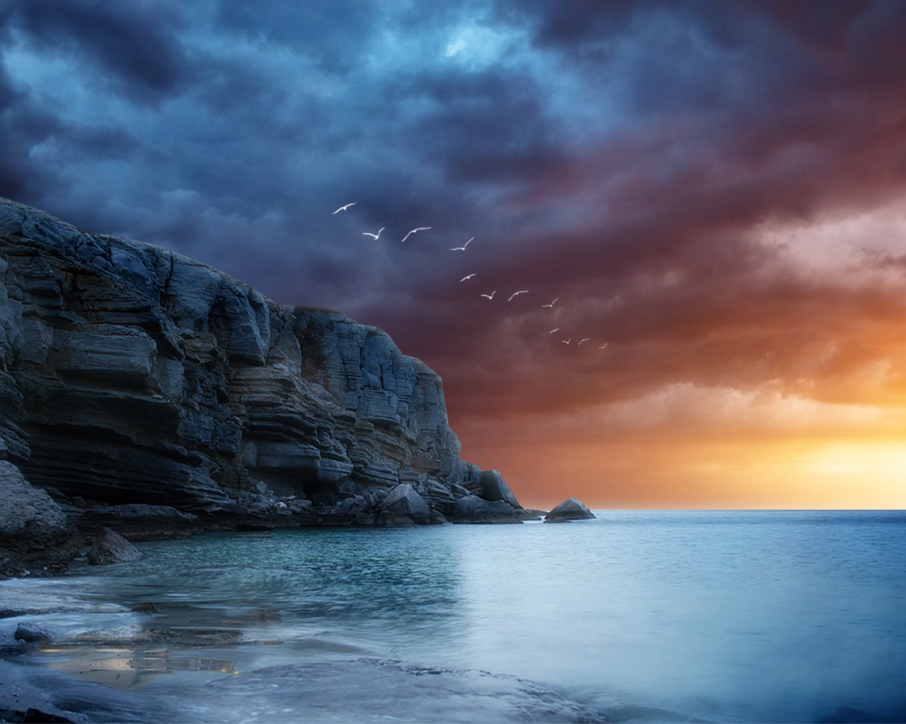 Чайки над скалами обои