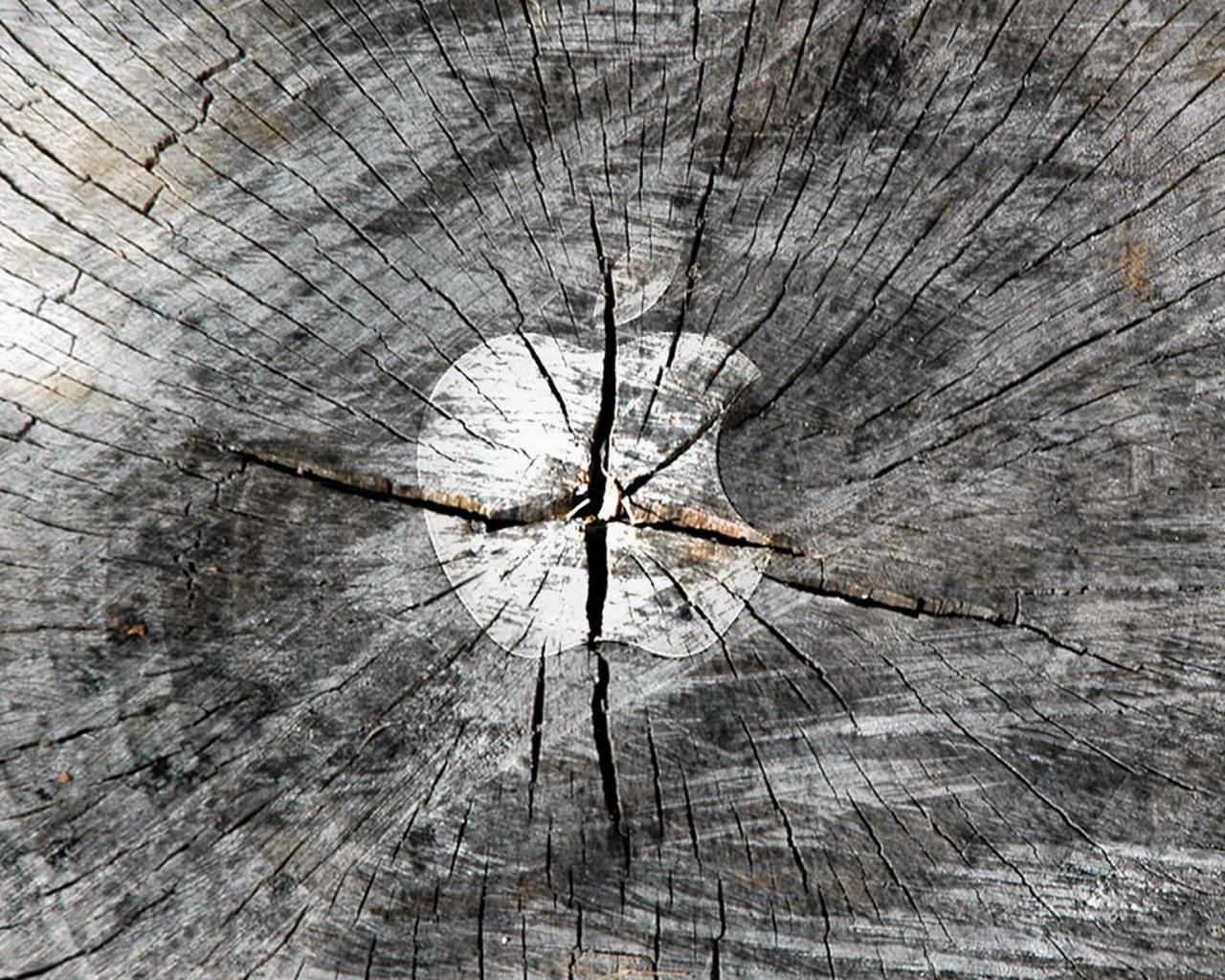 Логотип Apple на бревне обои