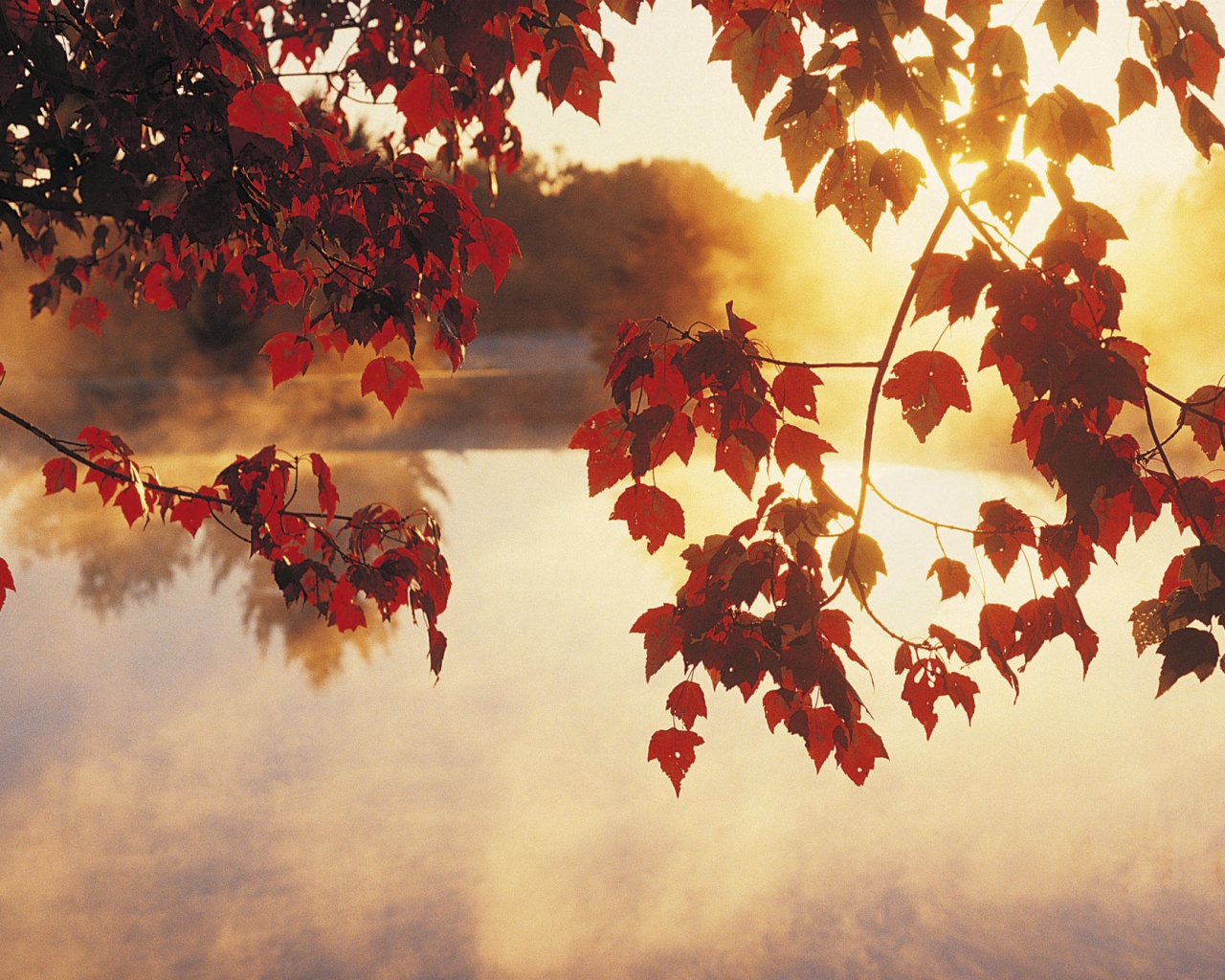 Осенний восход обои