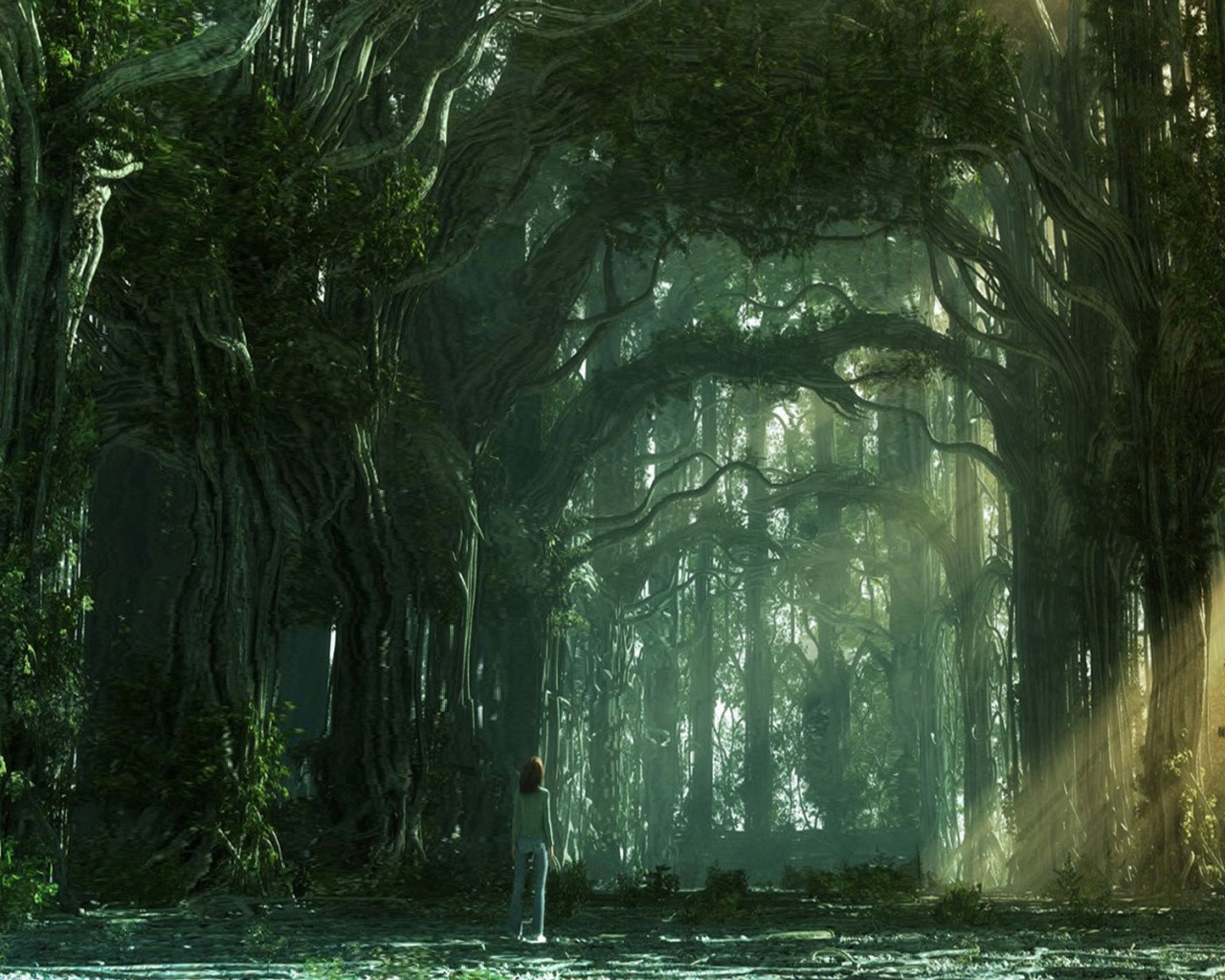 Одна в сумеречном лесу обои