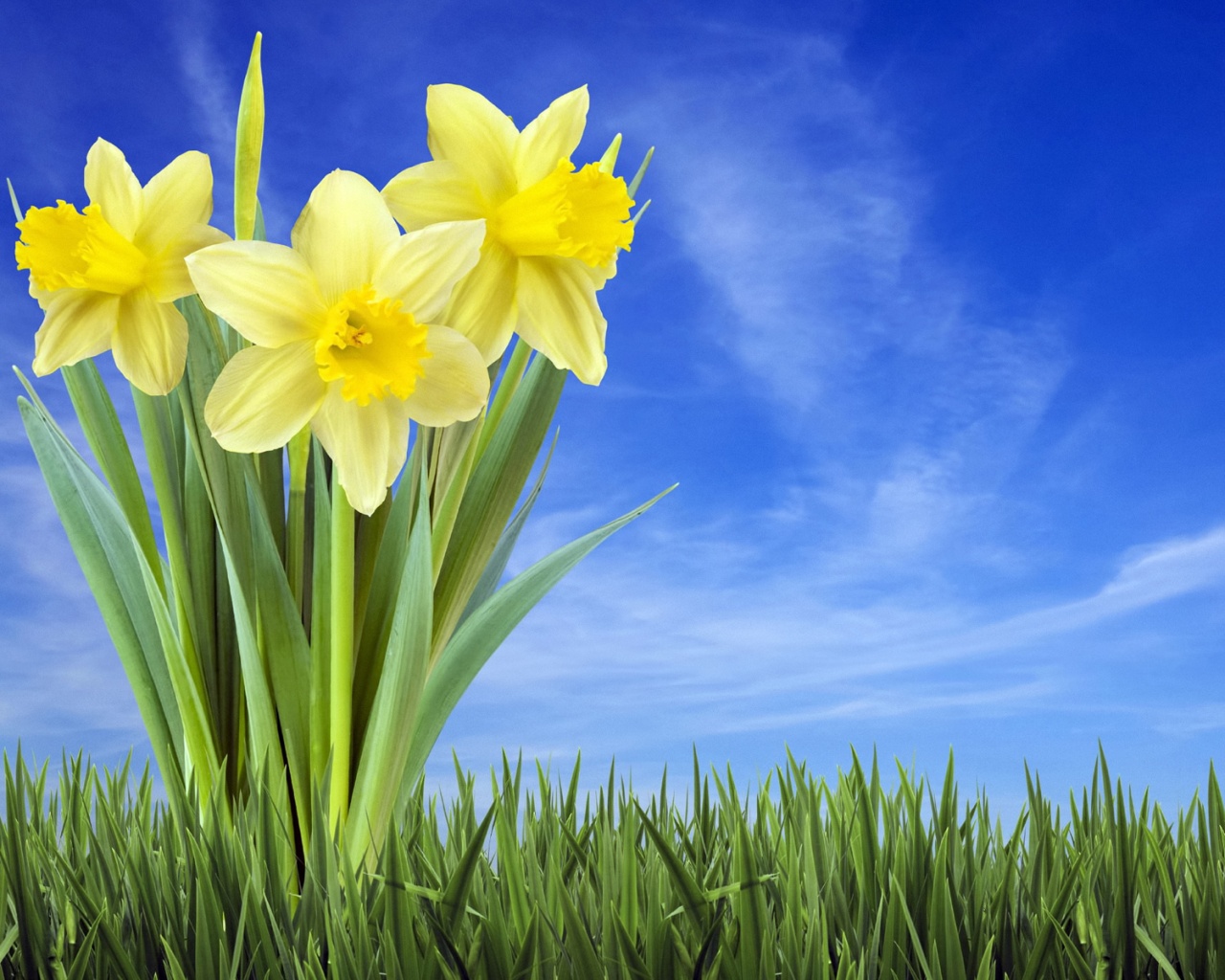 Букет цветов в траве обои