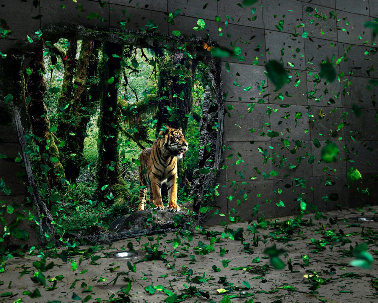 Портал в джунги обои