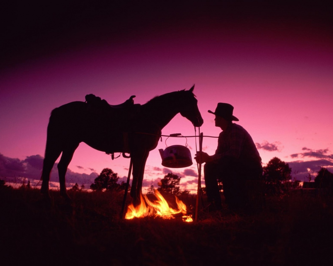 Ковбой на привале обои