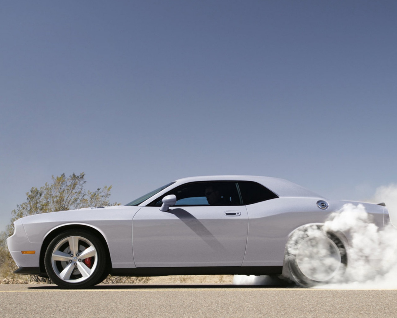 Стартующий Форд Мустанг обои