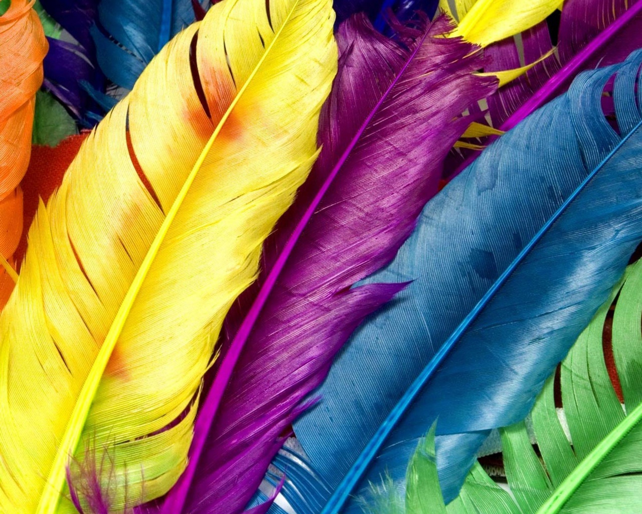 Разноцветные перья обои