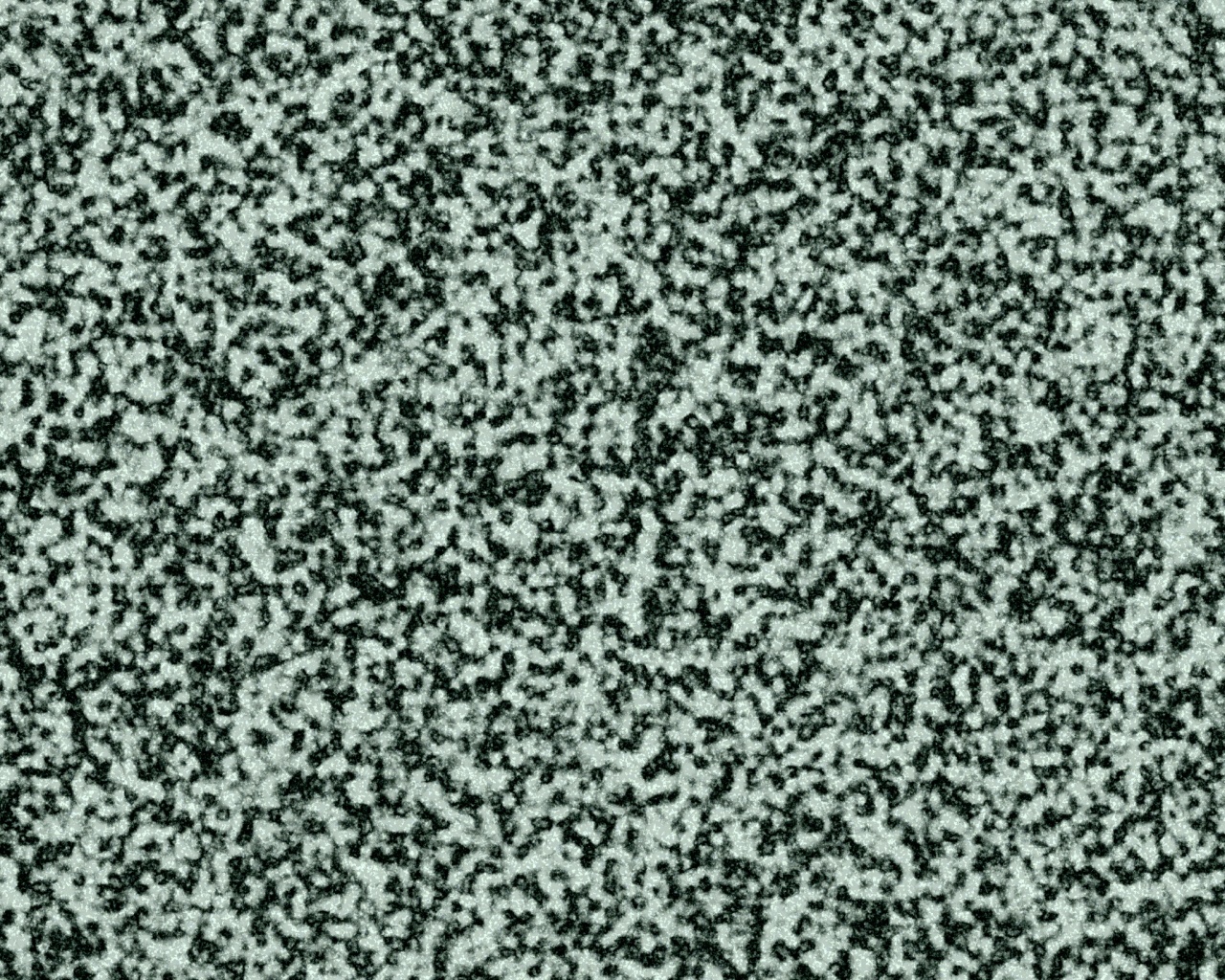 Черно-белый ковролин обои