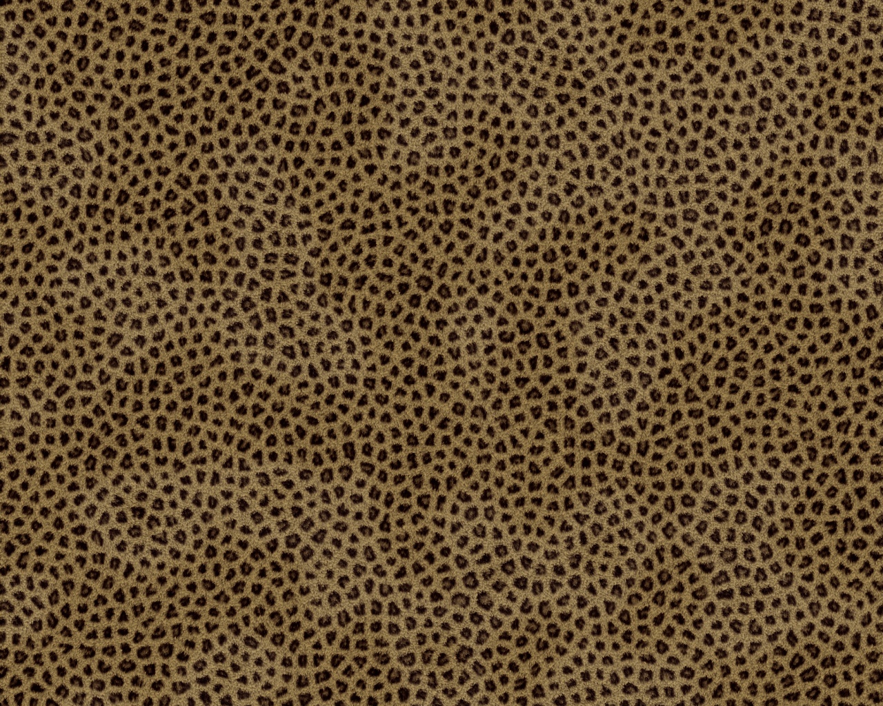 Пятнистая шкура обои