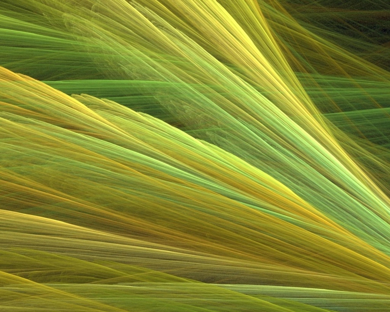 Прозрачные зеленоватые крылья обои