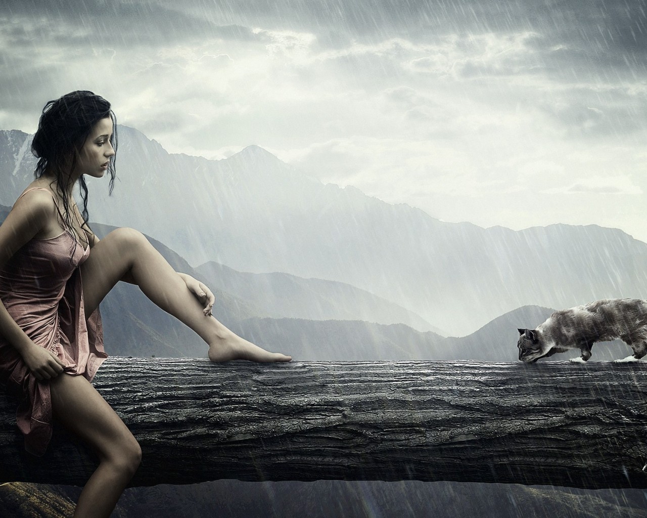 Девушка и кошка обои