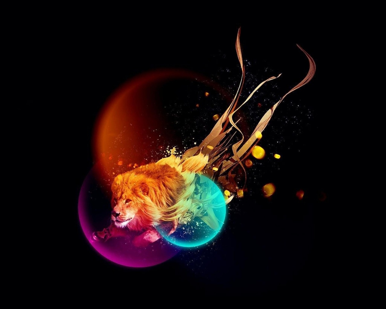 Лев в абстарктой фигне обои