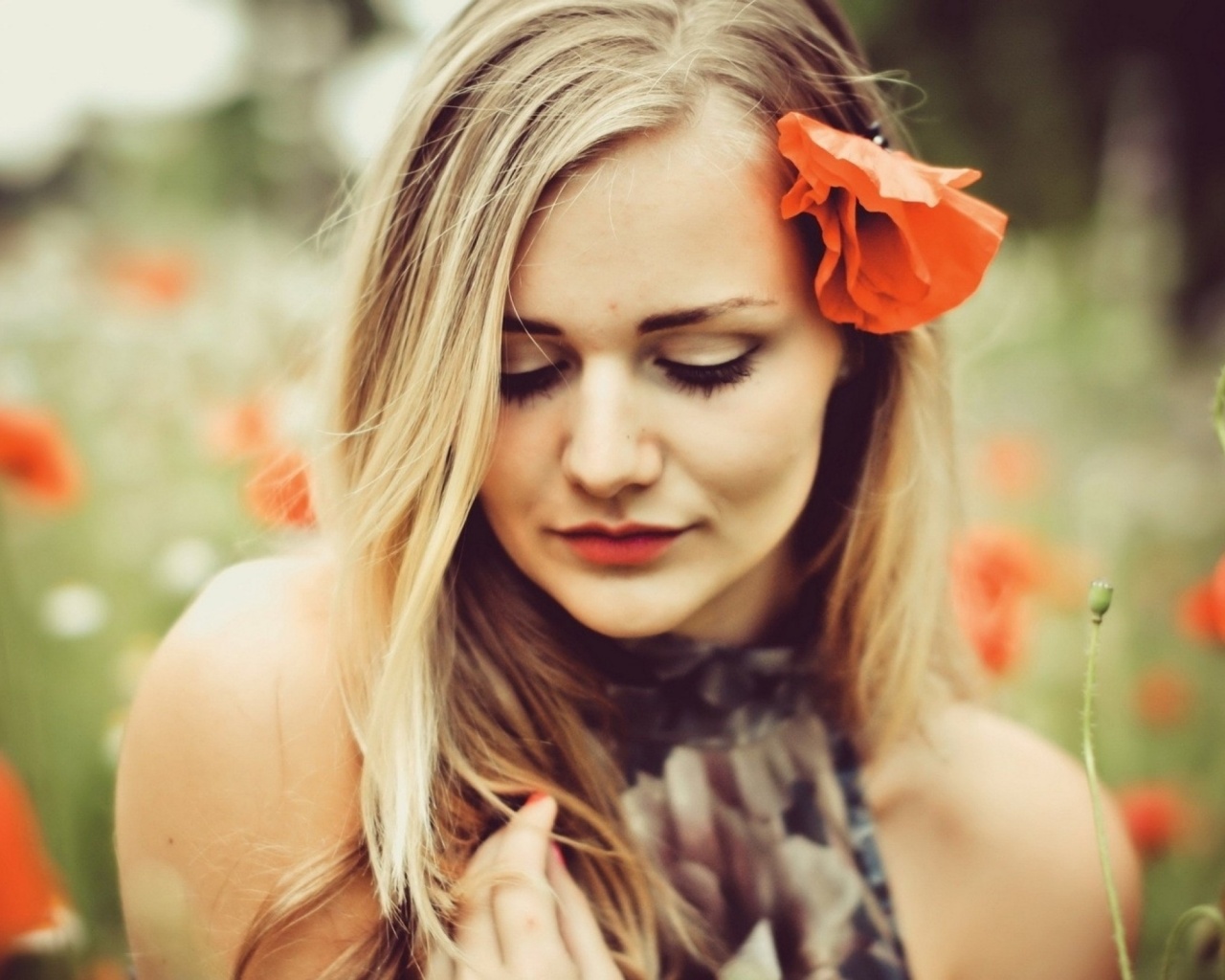 Блондинка в маках обои