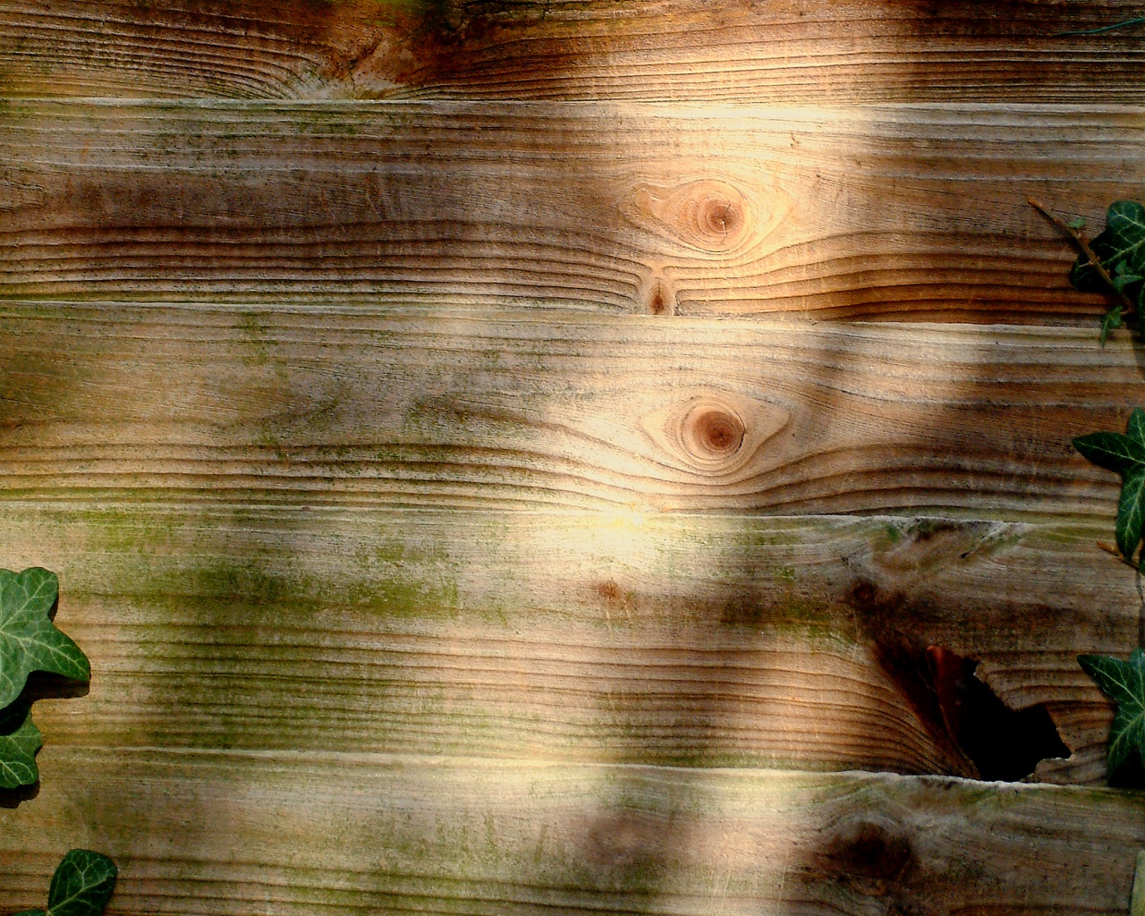 Деревянная поверхнуость обои