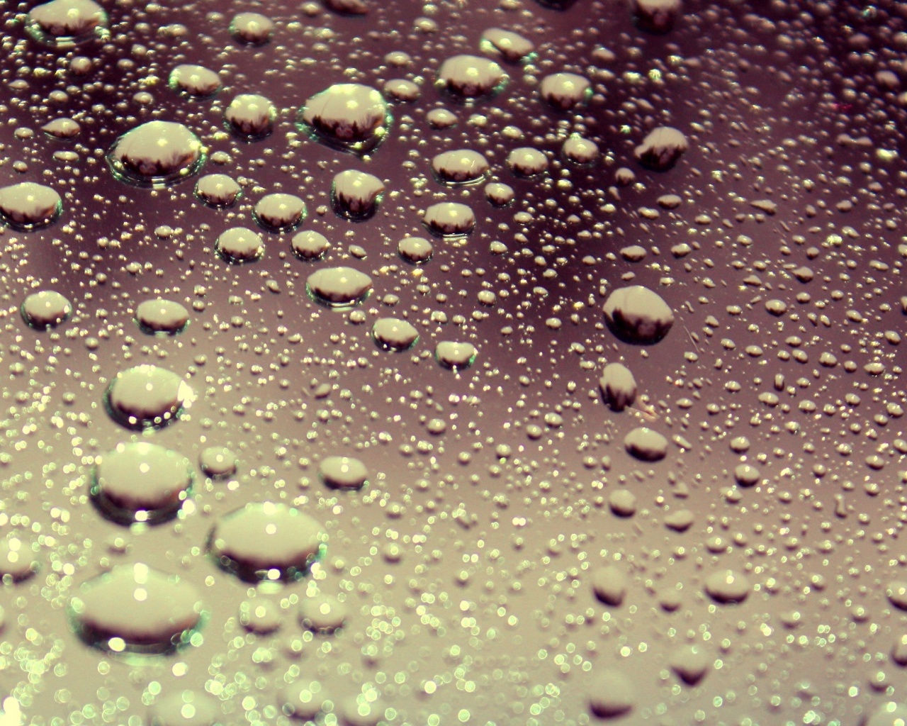 Капли воды на поверхности стекла обои