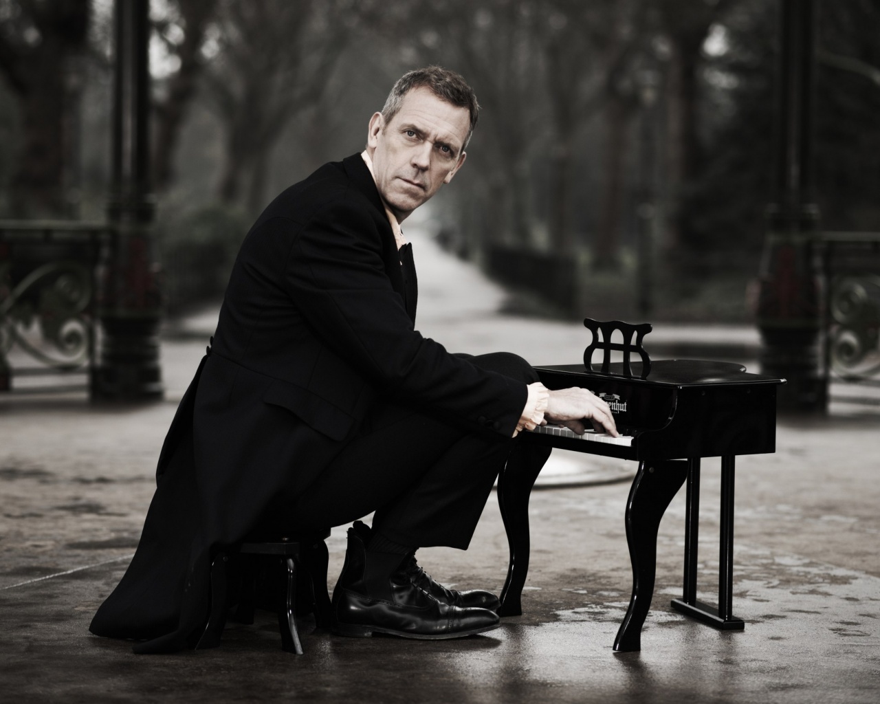 Хью Лори за маленьким роялем обои