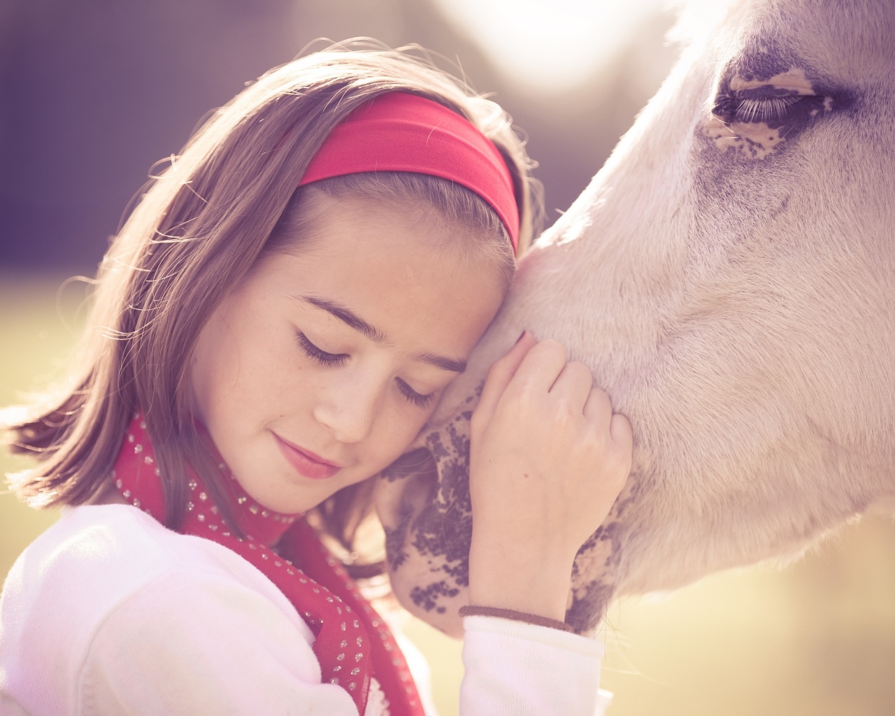 Девочка и лошадь обои