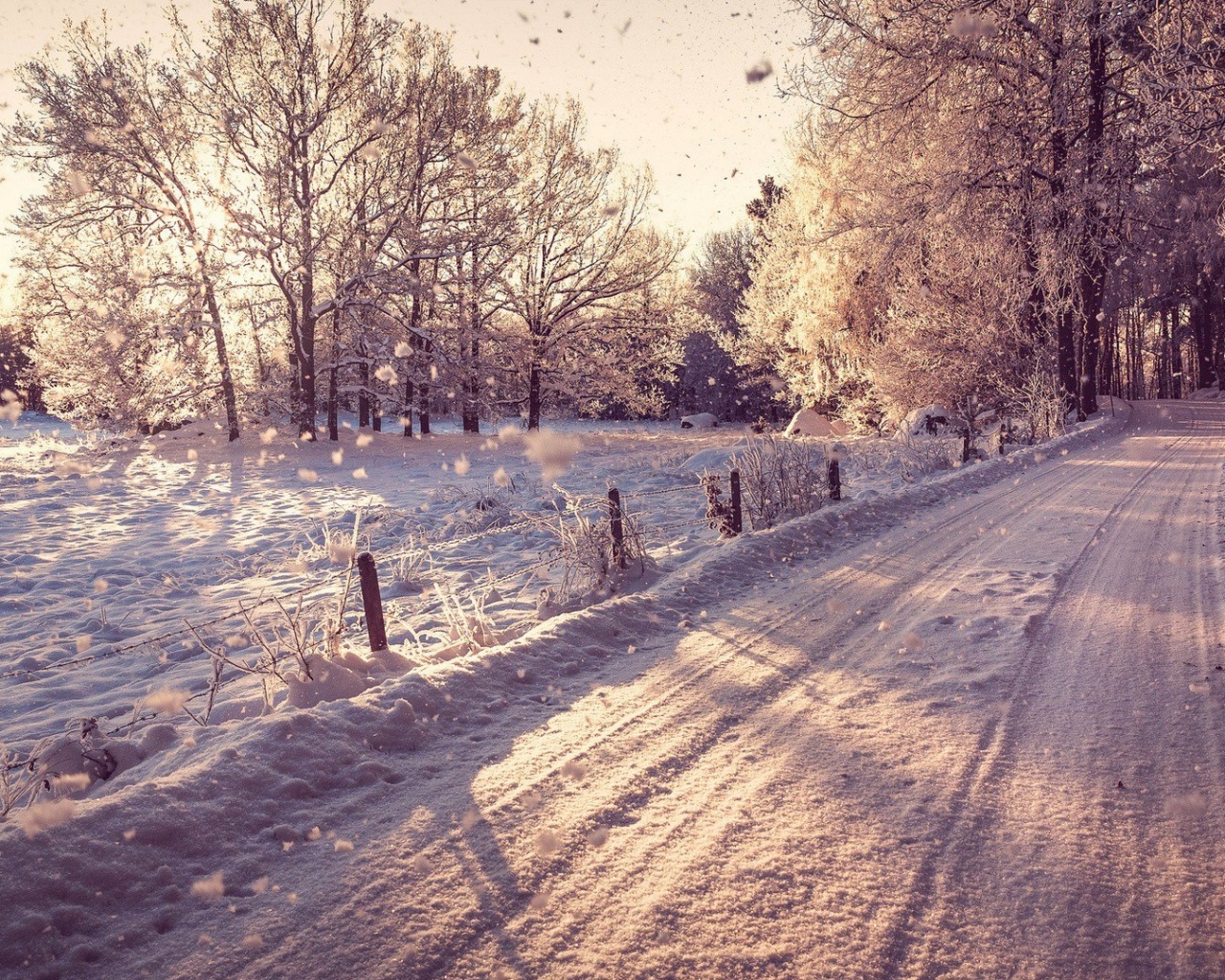 Снежная дорога залитая солнцем обои