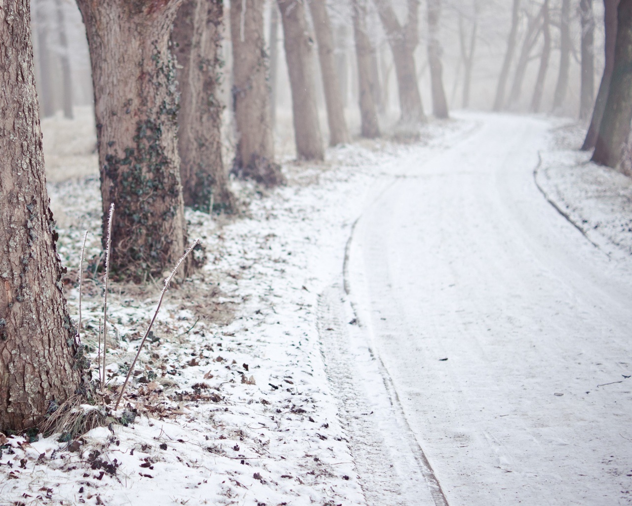 Дорога в зимнем лесу обои