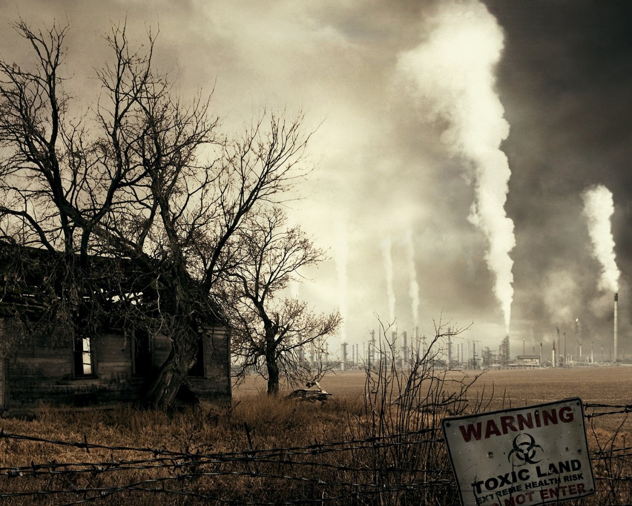 Токсичность обои