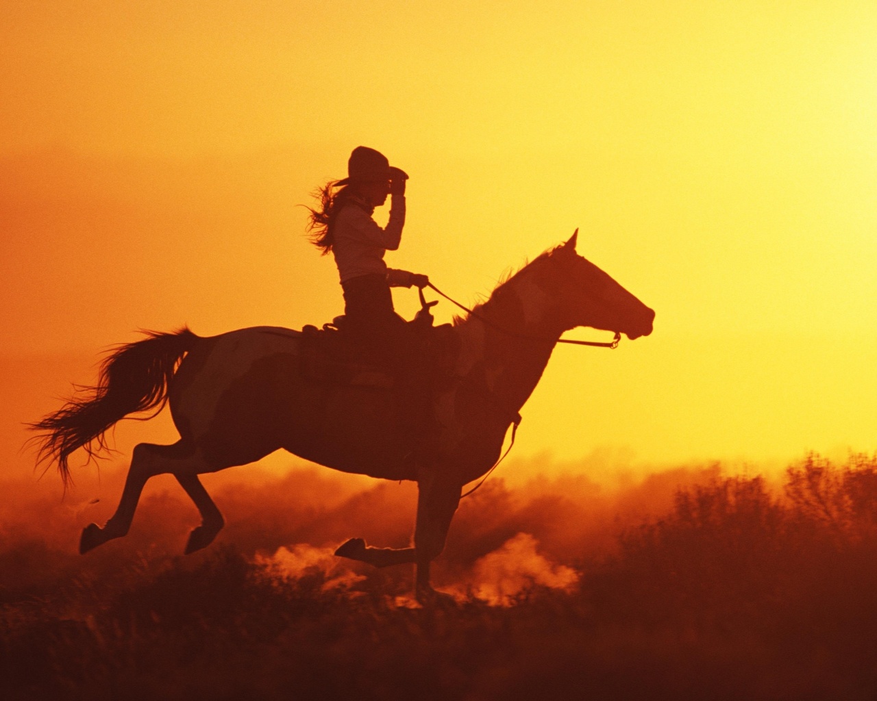 Наездница на закате обои