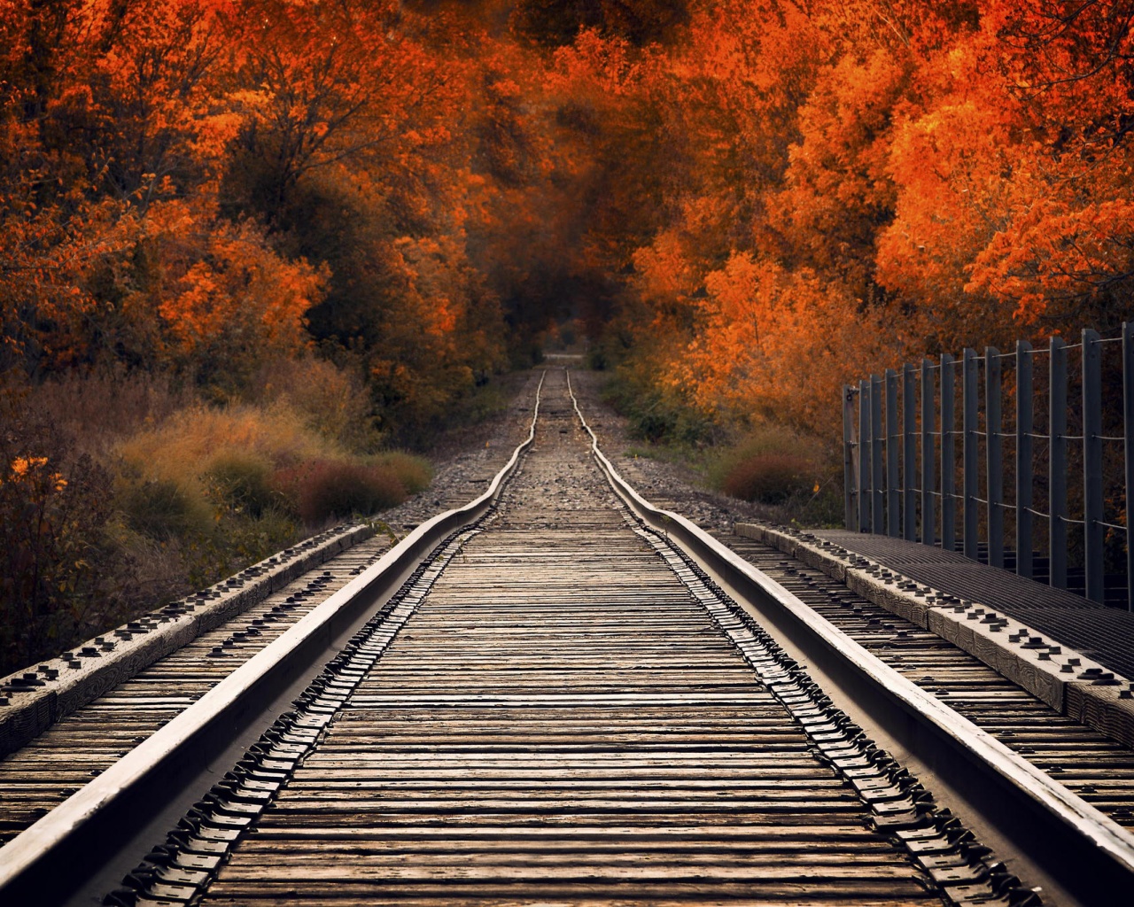 Железная дорога в осеннем лесу обои