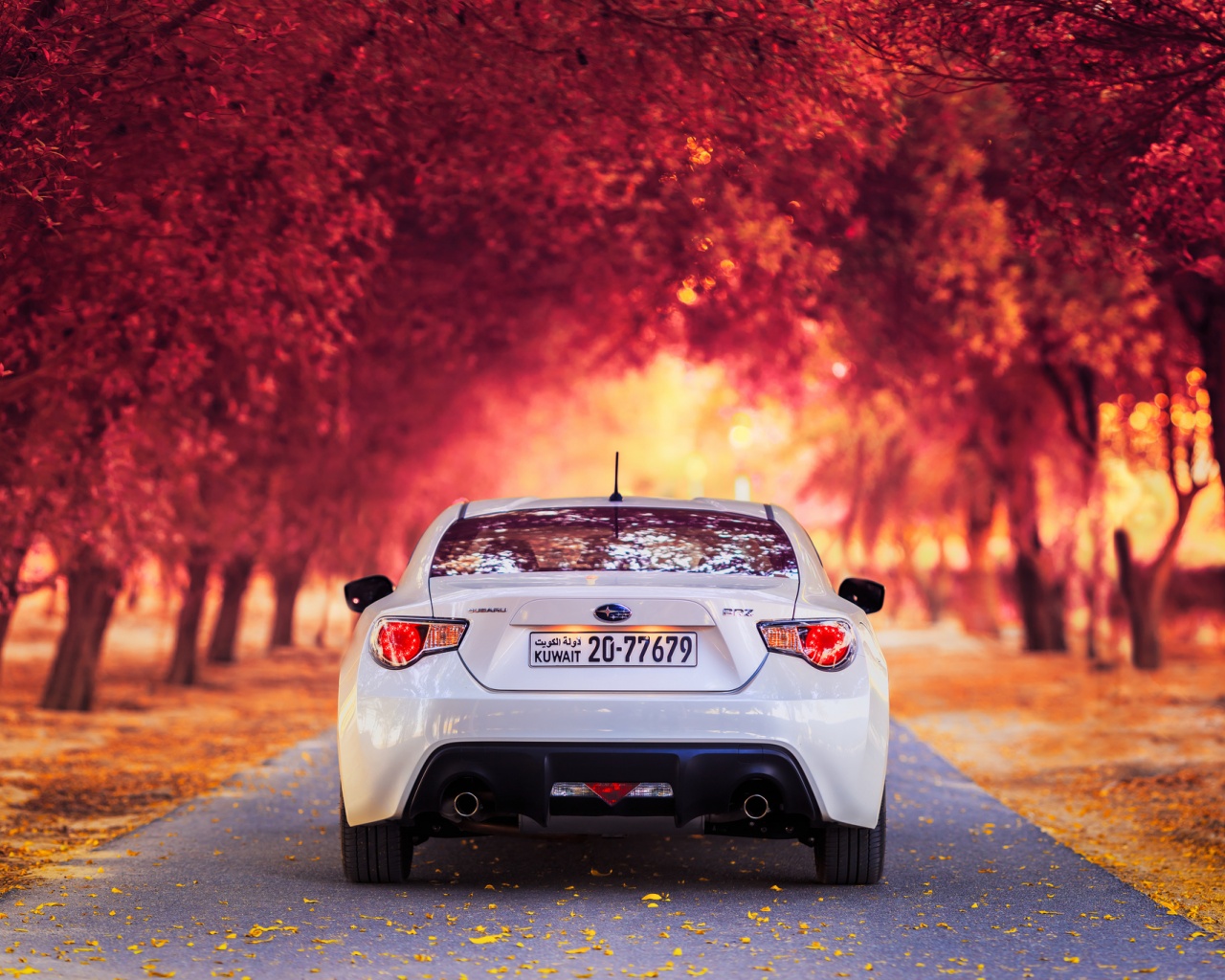 Субару на осенней дороге обои