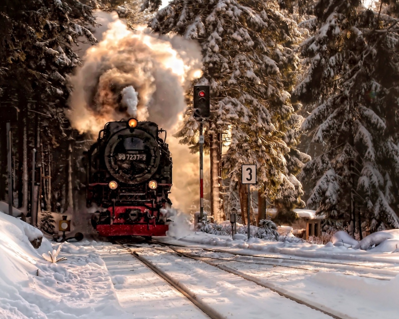 Паровоз в димнем лесу обои