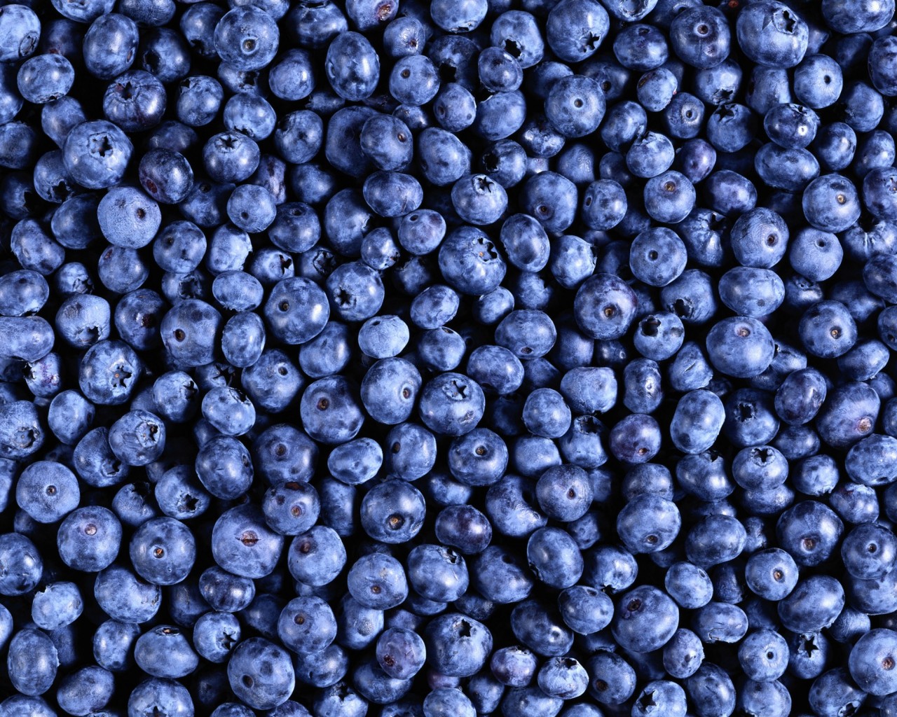 Черника обои