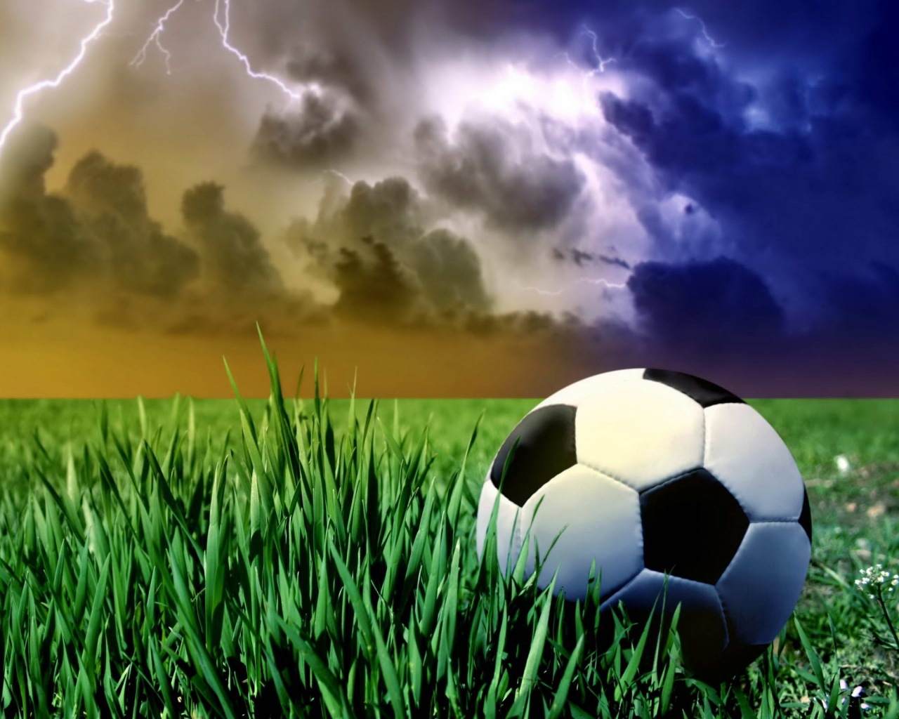 Футбольный мяч на газоне обои
