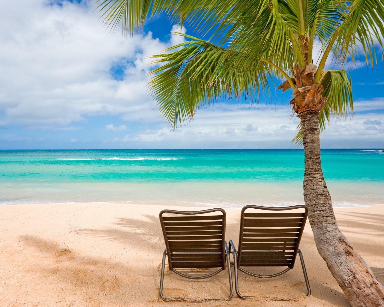 Шезлонги обои