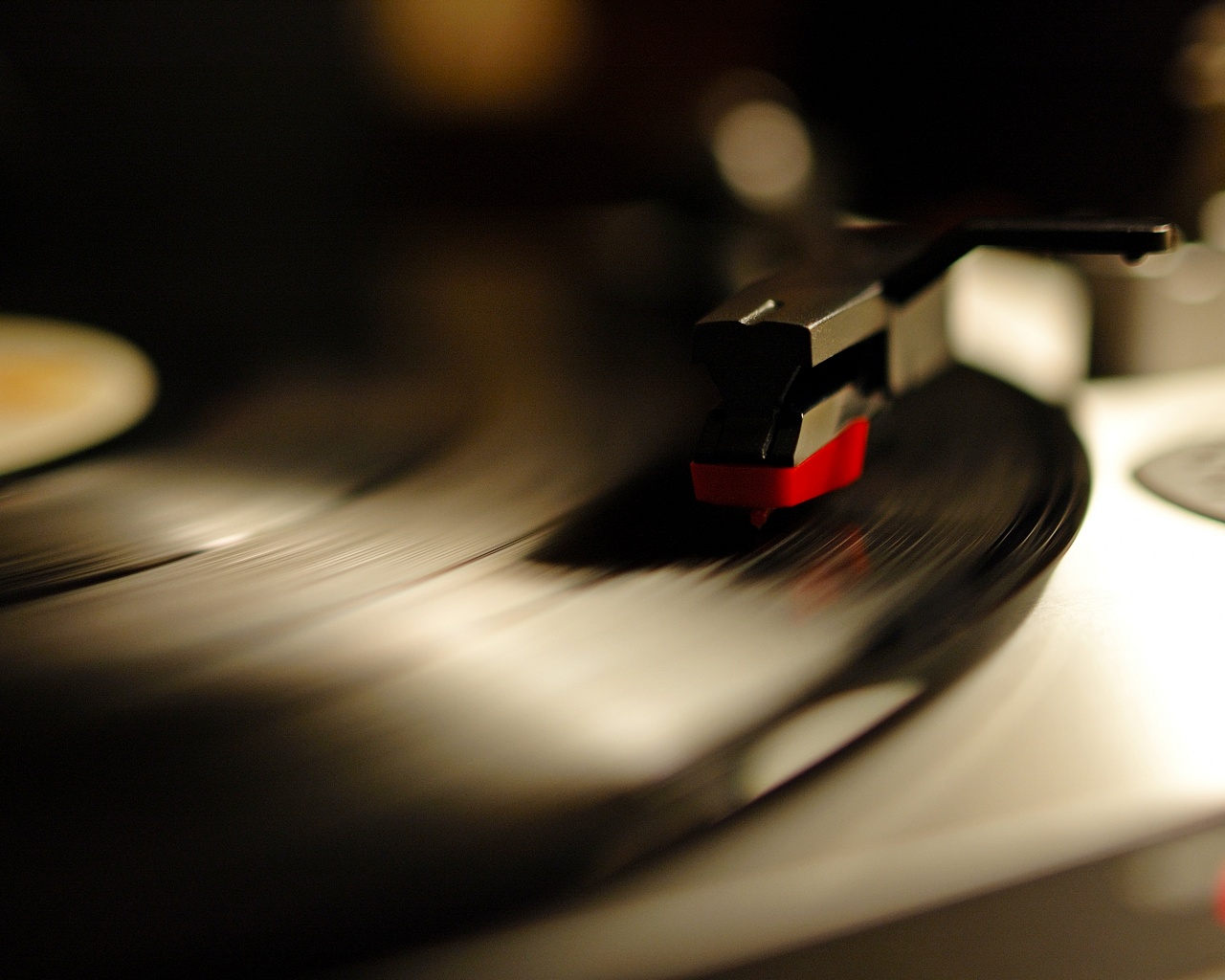 Пластинка обои