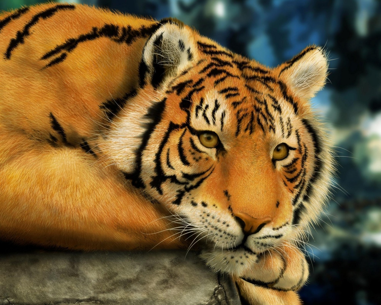 Грустный тигра обои