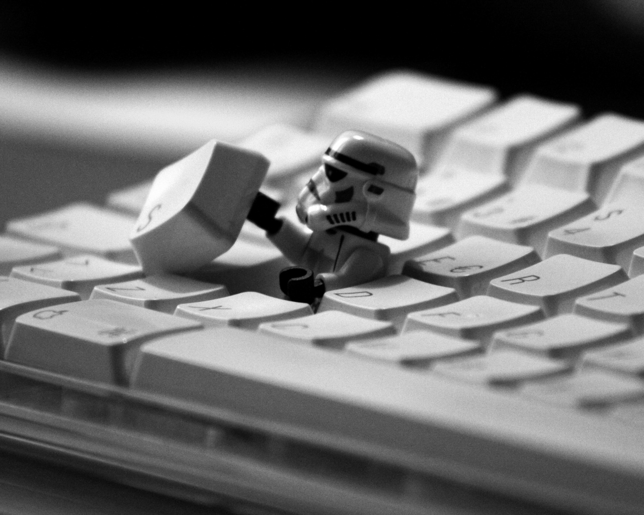 Засада имперского штурмовика обои