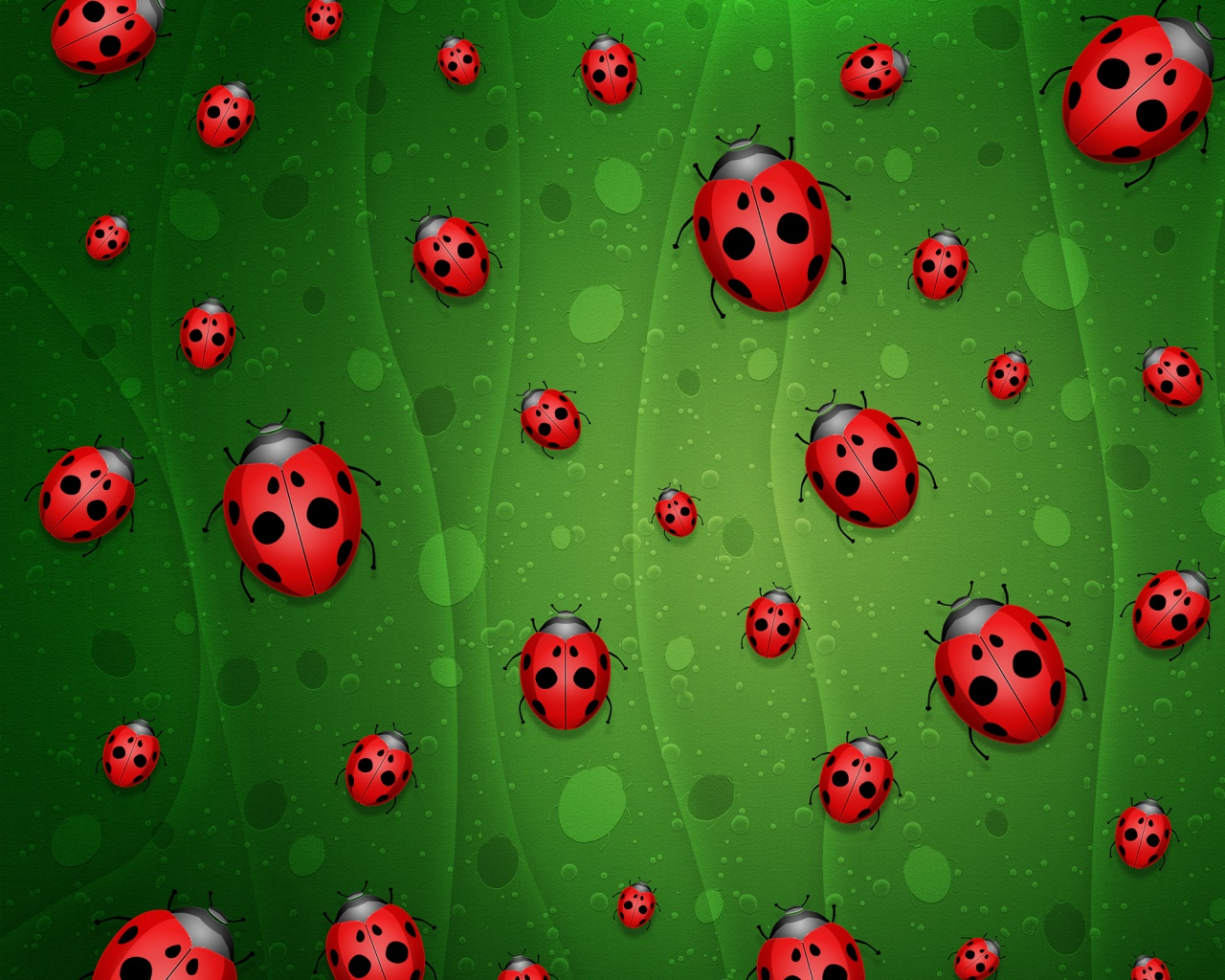 Божьи коровки обои