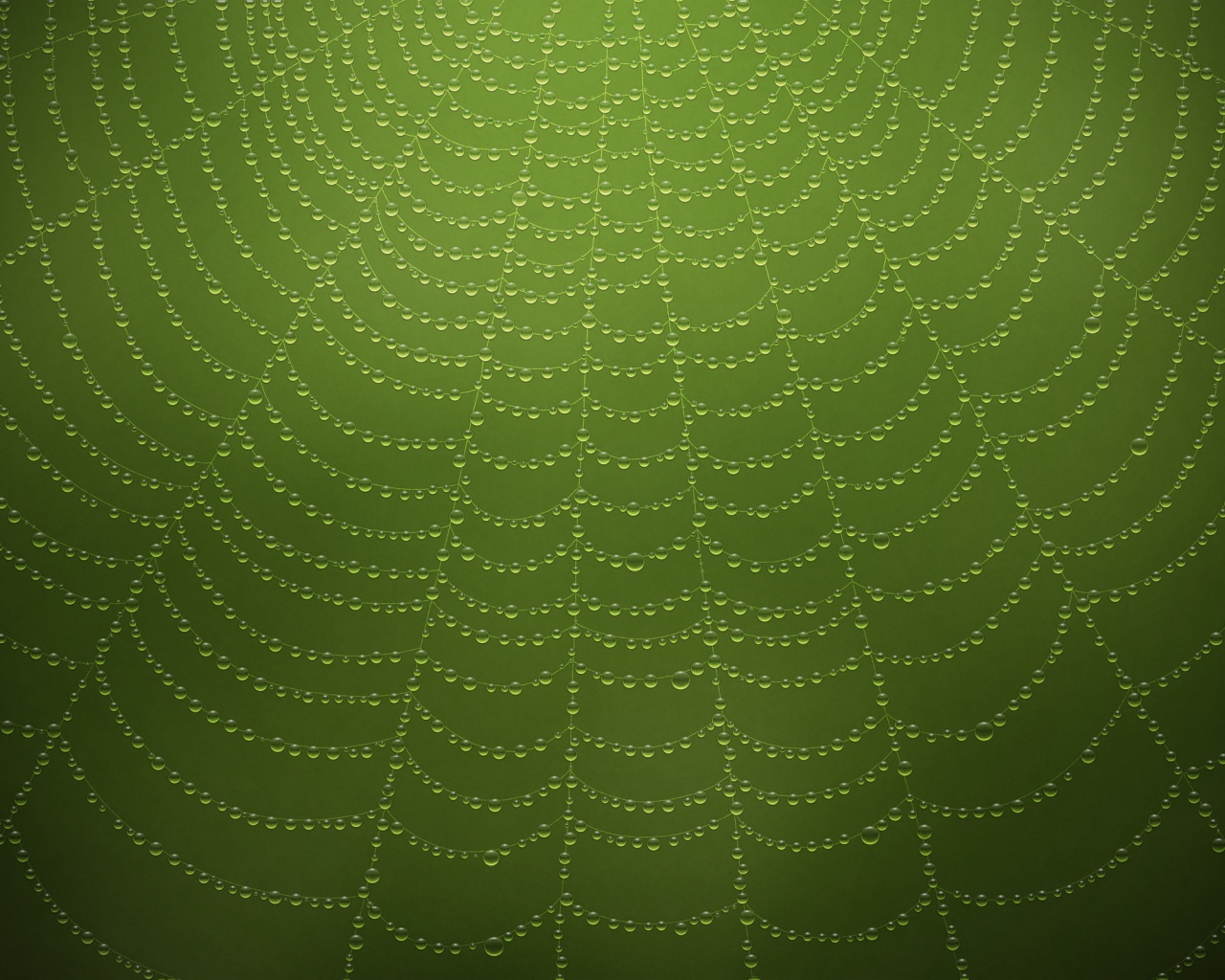 Роса на паутине обои