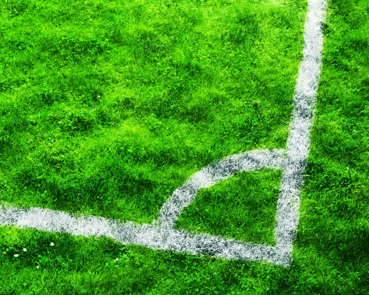 Угол футбольного поля обои