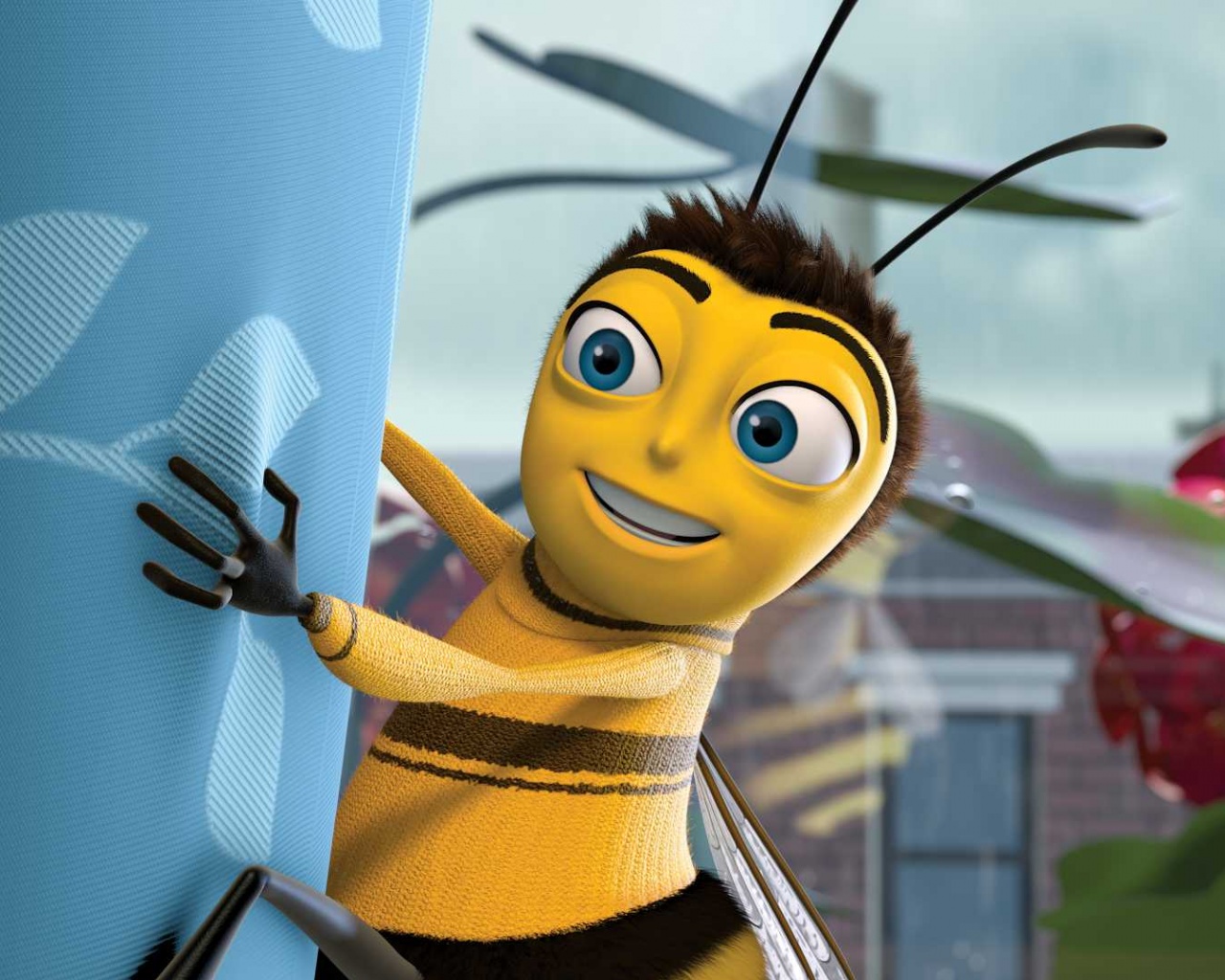 Бимуви обои