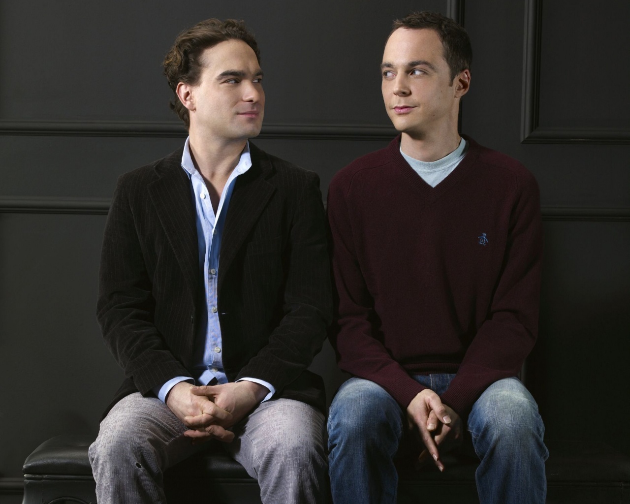 Шелдон Купер и Леонард Хофстедер обои