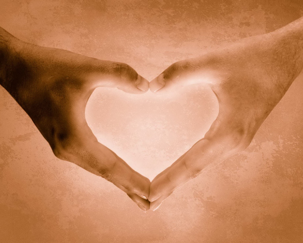 Сердце из сложенных рук обои