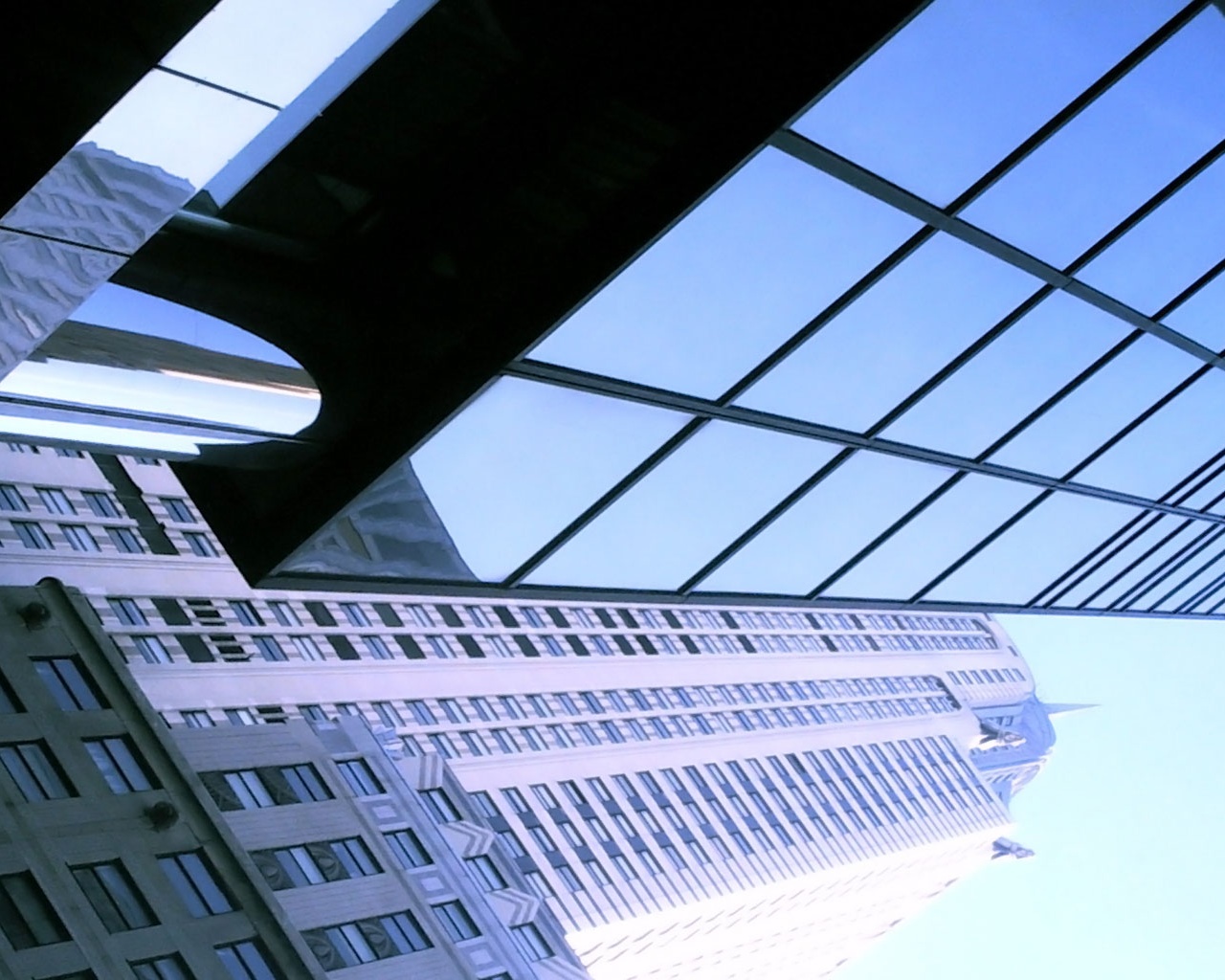 Взгляд вверх обои