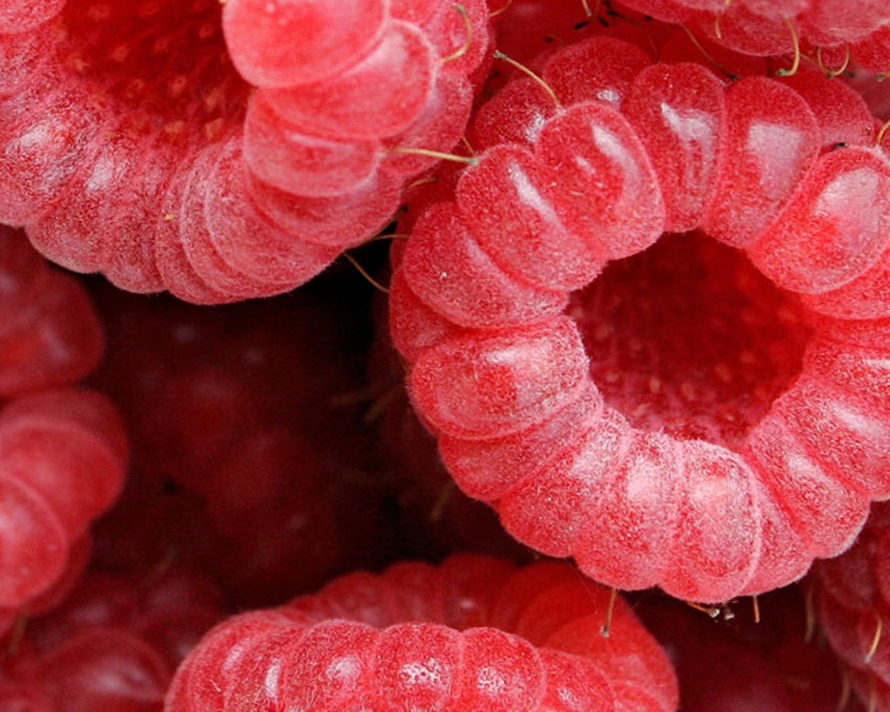 Малина обои