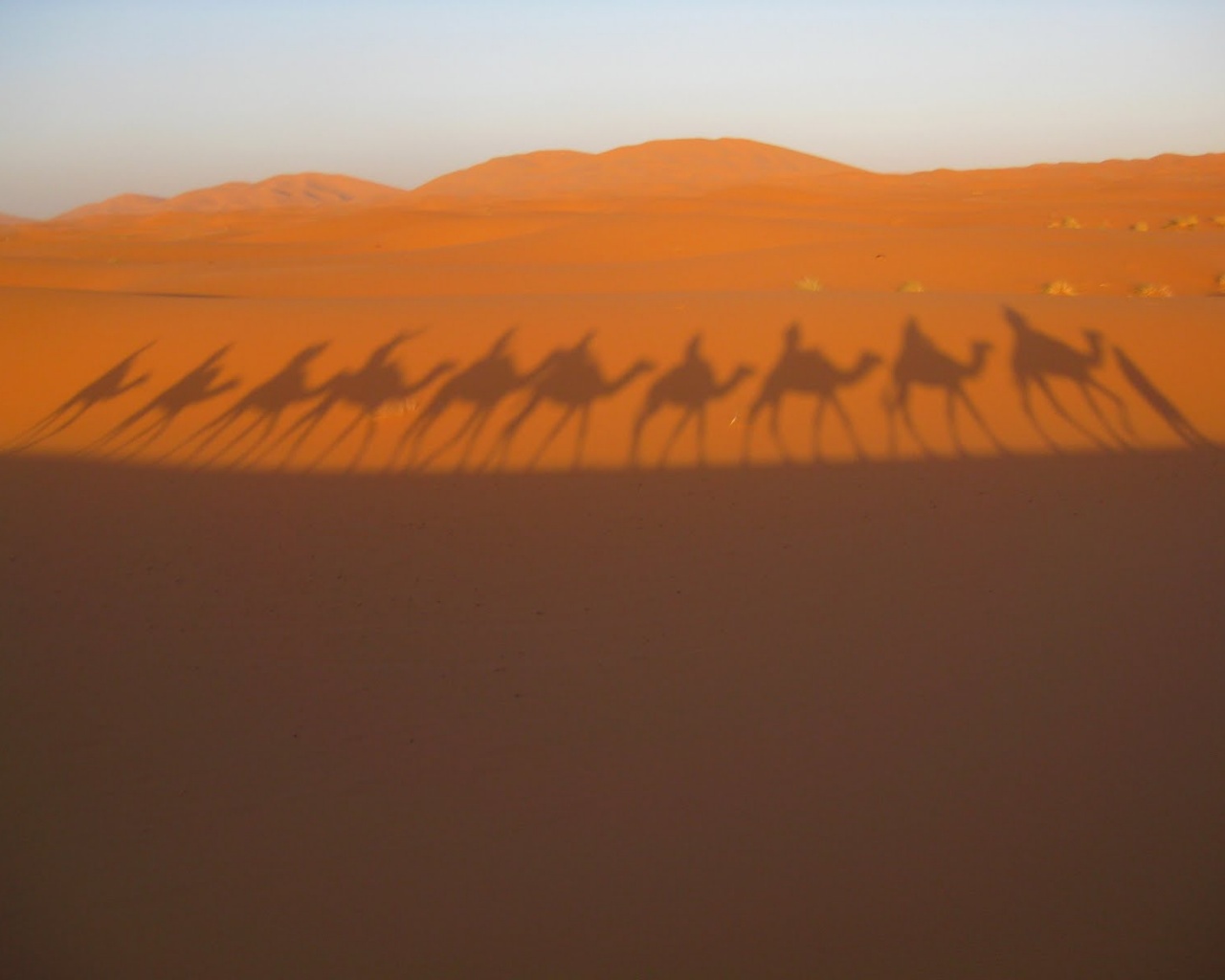 Караван обои