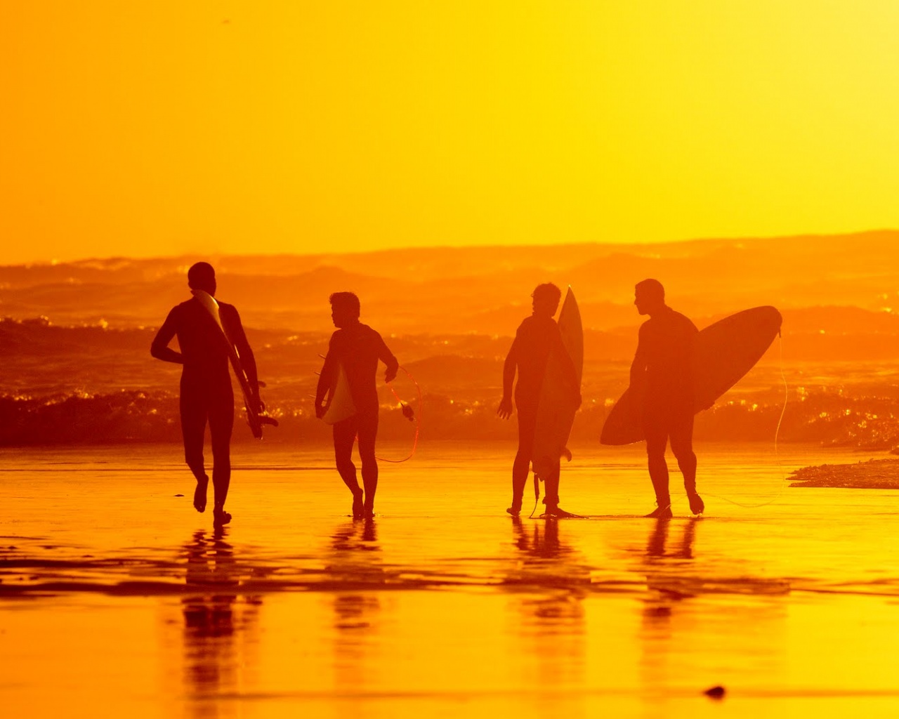 Серфингисты обои