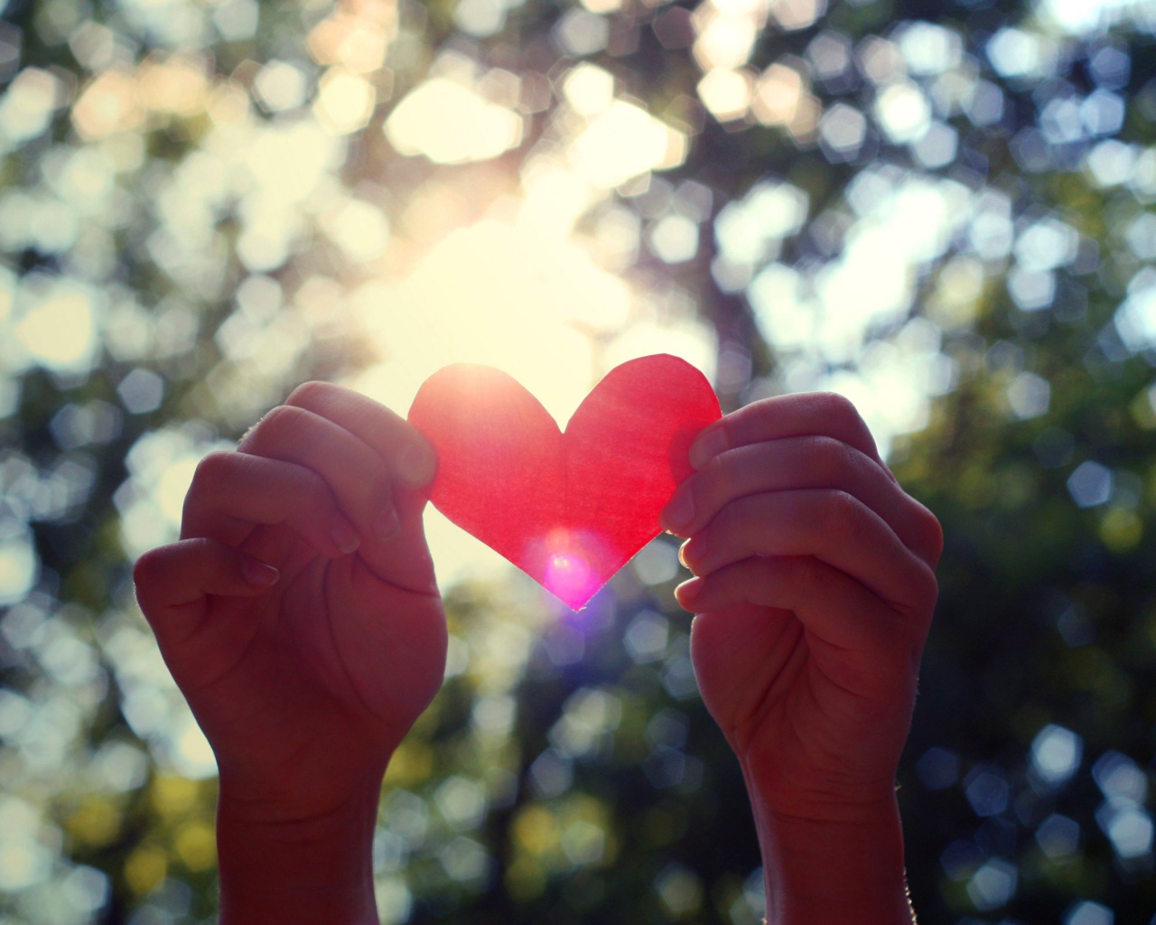 Бумажное красное сердце обои