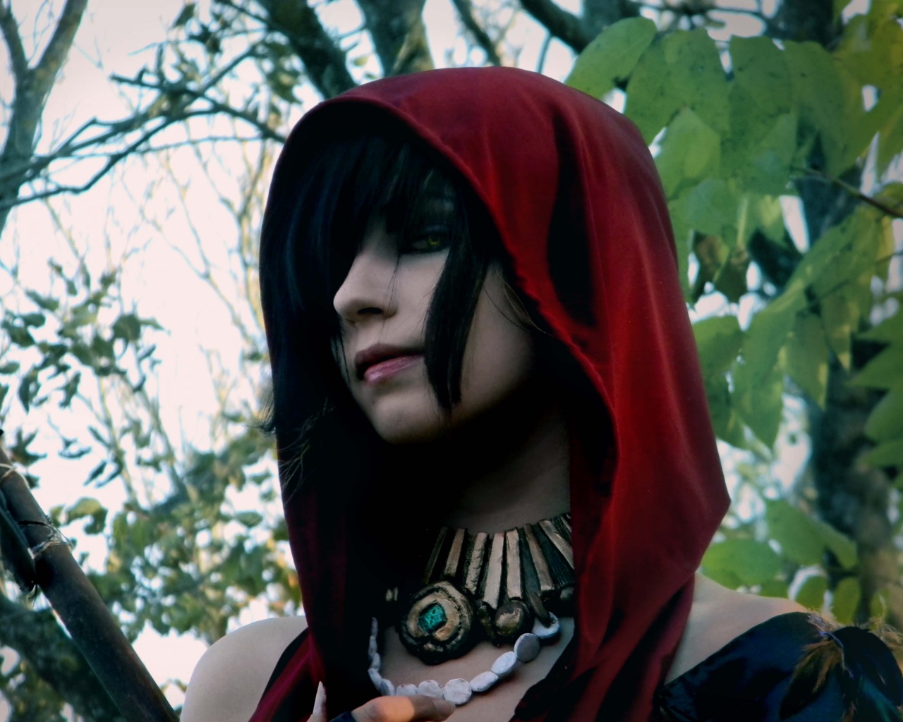 Косплей Морриган обои
