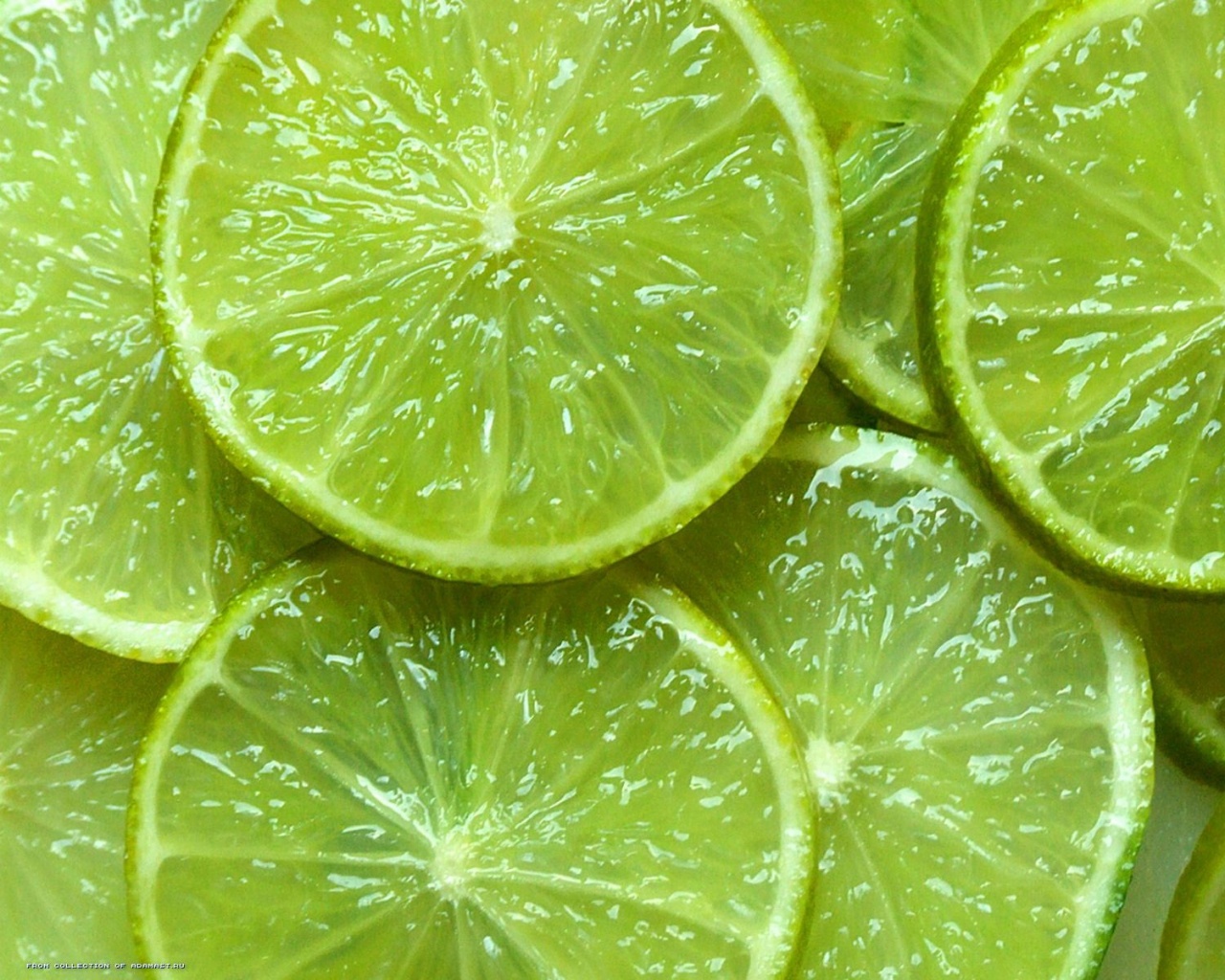 Зеленый лайм обои