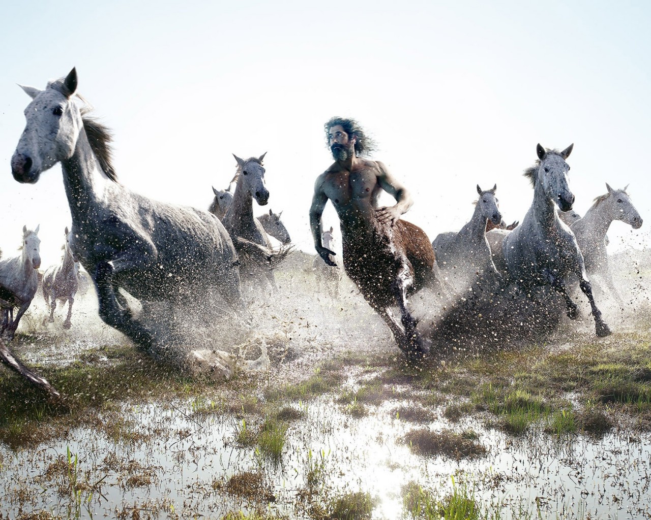 Кентавр обои